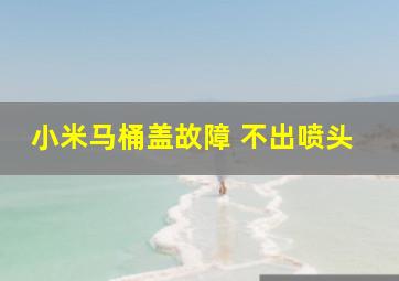 小米马桶盖故障 不出喷头